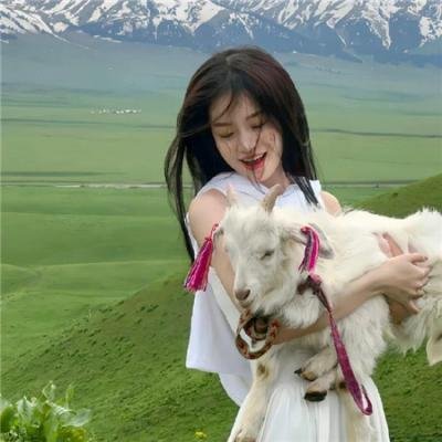 悬崖上的金鱼姬